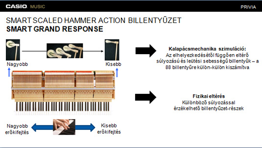 Casio Smart Scaled Hammer