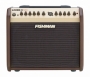 fishman_loudbox_mini