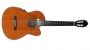 washburn_c104sce